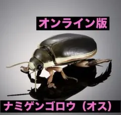 【オンライン版】いきもの大図鑑アドバンス ナミゲンゴロウ（オス）単品のサムネイル