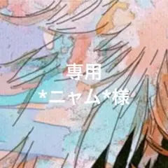 専用ページ *ニャム*様