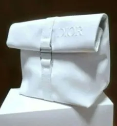 新品 最新サンプル付き ギフトバッグ付 Dior ノベルティ ポーチ ディオー
