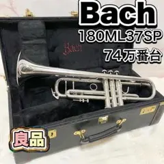 2026年最新】Bach 純正 ケースの人気アイテム - メルカリ