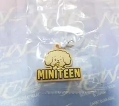 miniteen ミニティーン ドギョム めじるしアクセサリー