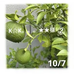 K☆K。。。★★様　10月②おまとめページ