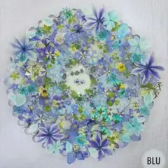 押し花素材　さわやかブルーセット