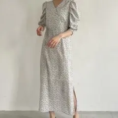 マジェスティックレゴン　ワンピース