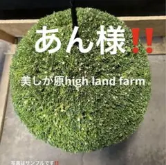 2026年最新】杉玉の人気アイテム - メルカリ