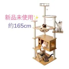 Item thumbnail for item a224610c-83dd-4fef-a5c3-b5b9af900027