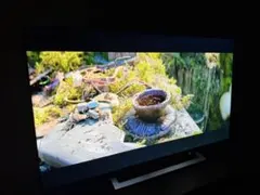 Item thumbnail for item 56fbb942-6b36-401c-87de-b758a9c6016b