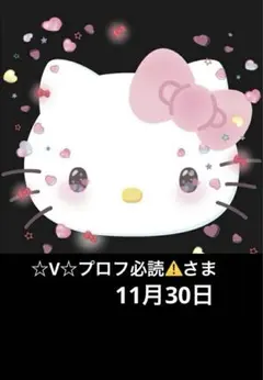 【☆V☆プロフ必読⚠️さま】
