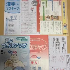 5年生 夏のスキルアップ 算数 国語 漢字 ワーク ドリル 解答付　夏休みのサムネイル