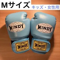 WINDY ボクシンググローブ Mサイズ キッズ・女性用