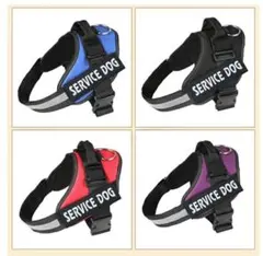 Item thumbnail for item 17cf5e34-7a0b-409b-bd52-a6075051e2e3