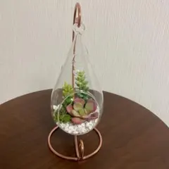 ワイヤーハンギングセット✿多肉寄せ植え✿そのまま飾れます - メルカリ