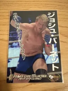 PRIDE CARD COLLECTION - メルカリ