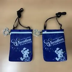 東京ディズニーリゾート バケーションパッケージ バッグ　2個セット