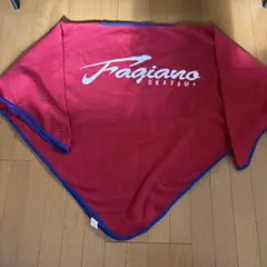 Fagiano Okayama 2022年ポンチョ