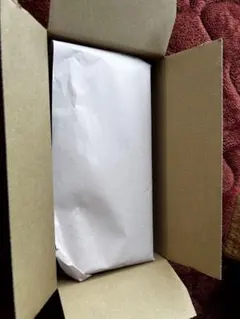 ポケモンセンター ヒロシマ スペシャルBOX シュリンク付き