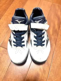 Item thumbnail for item 0e1a8e70-16a2-491e-a8ad-7952711134d6