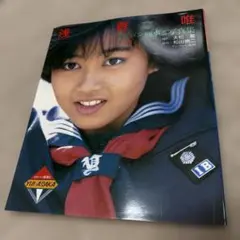 南野陽子　浅香唯　斉藤由貴 スケバン刑事 ポストカード スケバン刑事 (斉藤由貴・南野陽子・浅香唯) DVD告知ポスター B2サイズ