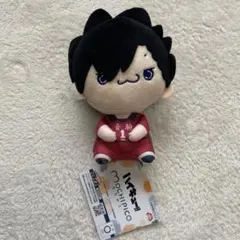 n*u様 ハイキュー!! もちぴこ 黒尾鉄朗 ぬいぐるみ プライズ品 非売品
