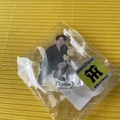 Item thumbnail for item 77727058-2fad-40af-a598-494588338742