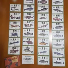 SHAKE様 リクエスト 2点 まとめ商品