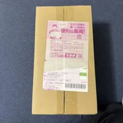 さ*あ様 完全未開封　ポケモンセンター　フクオカ　スペシャルボックス