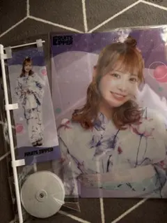 FRUITS ZIPPER 仲川瑠夏のクリアファイルとフラッグスタンドセット