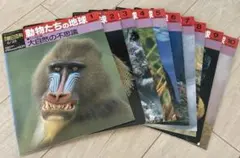 Item thumbnail for item 4b5f2505-9f81-4dfc-98ef-f3d9001af0d9