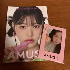 amuse アミューズ　ウォニョン　トレカ　大判フォトフライヤー