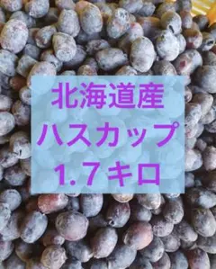 【無農薬】北海道産ハスカップ1.７キロのサムネイル
