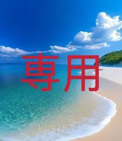 みぃ様 リクエスト 2点 まとめ商品