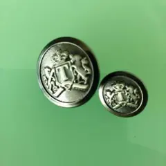 Item thumbnail for item 7b351483-1c93-42e3-aaac-fb4efa88d783