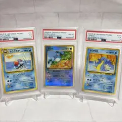 PSA5、8、5】サザンアイランド ドククラゲ＆マリル＆ラプラス 連番 旧