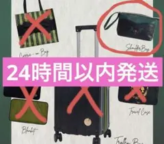 ちはるさんコラボ　しまむら　ハッピーバッグ　アナ　ショルダー