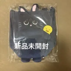 RIIZE ライズ ウォンビン　ペンライトバッグ ファンライト