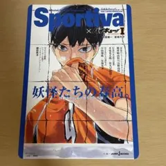 ハイキュー Sportiva ビジュアルボード