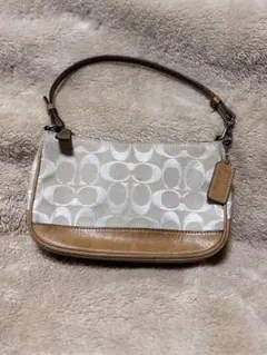 COACH コーチ アクセサリポーチ ワンショルダー　シグネチャー ハンドバック