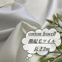 he31/3 長2ｍ 綿リヨセル ツイル 無地 オフ白 生地 布 布地