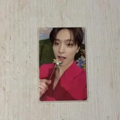 ディノ sector17 kit トレカ