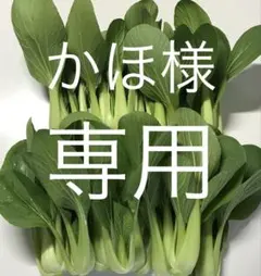 ミニチンゲンサイ 青梗菜 約500g