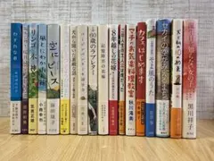 Item thumbnail for item 8c987163-87a8-4e31-b01b-6002375723f1