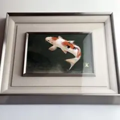 NIKKO ニッコー 中川一政 ナカガワ カズマサ 陶画 金魚絵 出目金 美術