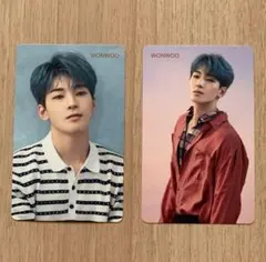 SEVENTEEN トレカ 舞い落ちる花びら HMV特典 ウォヌ