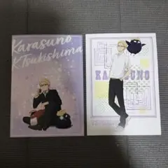 月島蛍 ポストカードセット ハイキュー A5 烏野