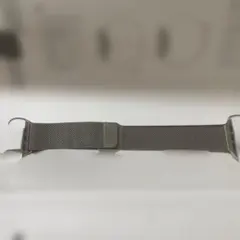 Apple Watch ベルト　シルバー