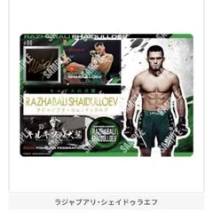 RIZINジャンボシールダス　ラジャブアリ・シェイドゥラエフ