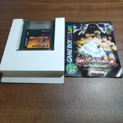 ポケットプロレス 箱、取扱説明書付【初期動作確認済】