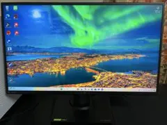 モニター ips