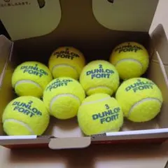 Item thumbnail for item 36eb9bc0-1154-46b4-a083-155a1688f049