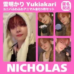 &TEAM NICHOLAS 雪明かり サイン会 アニマル トレカ まとめ売り